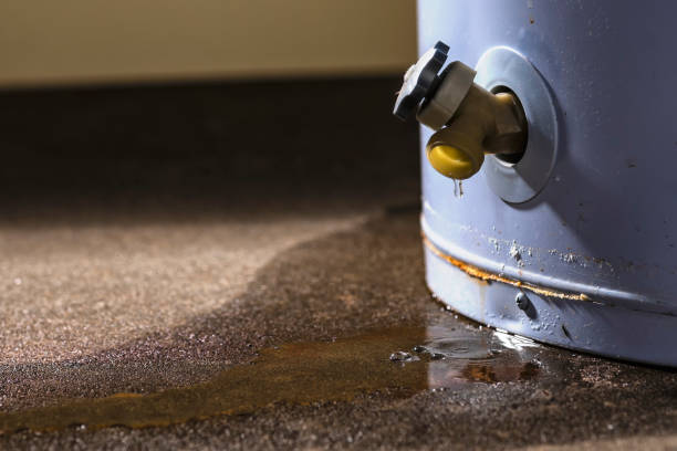 Best Flood damage cleanup  in Seaman, OH