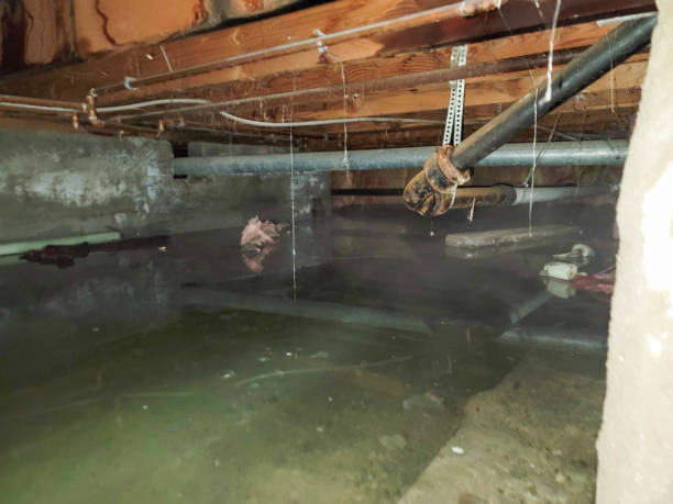 Water damage restoration mold remediation in Seaman, OH