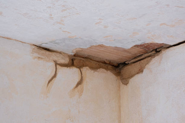 Water damage restoration mold remediation in Seaman, OH