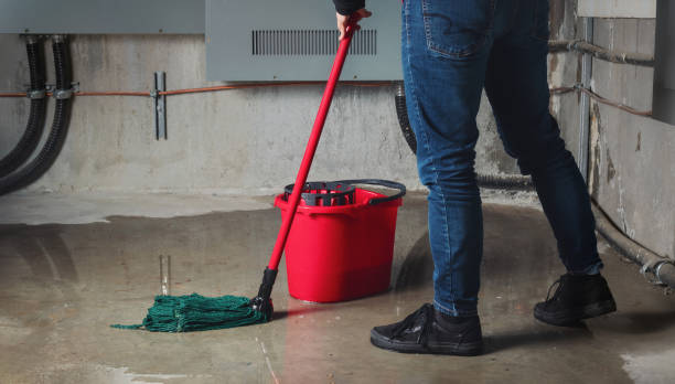 Best 24-hour water damage restoration  in Seaman, OH