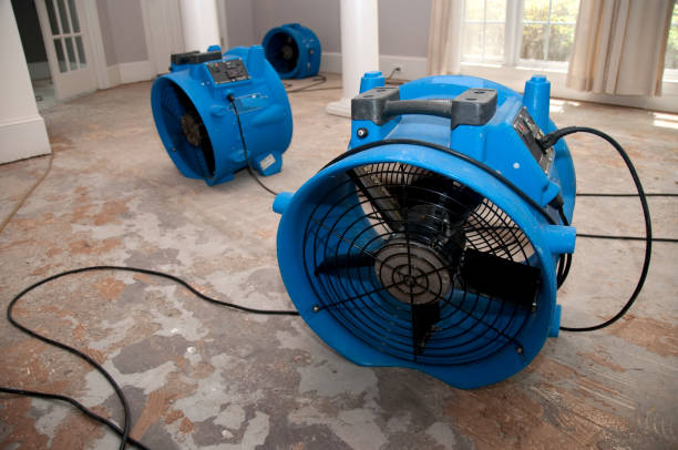 Best Commercial water damage restoration  in Seaman, OH