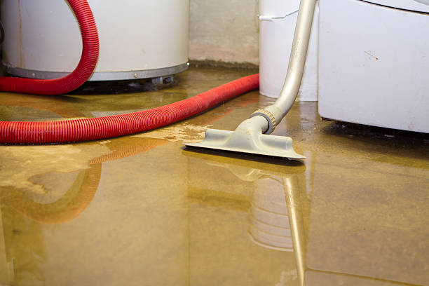 Best Flooded house restoration  in Seaman, OH