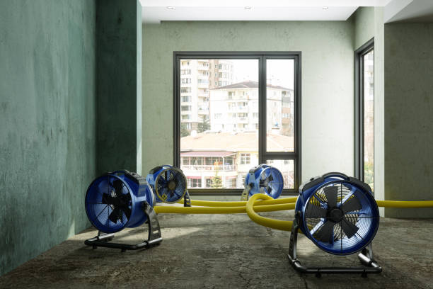 Best Fire Damage Restoration  in Seaman, OH