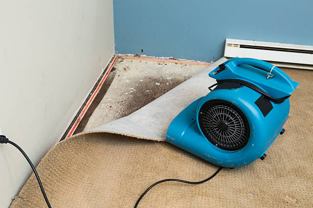Best Water damage restoration near me  in Seaman, OH